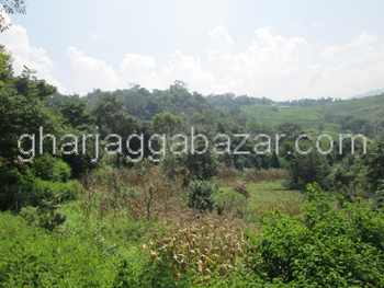 Farm House/Land on Sale at Bungmati